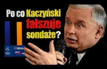 Sondaże Kaczyńskiego. Kim jest Marcin Duma i firma IBRiS, która wychwala Obajtka