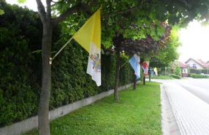 Przed procesją, do drzew przykręcono Watykańskie flagi.