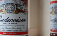 USA: firmy wycofują się ze sponsorowania parad LGBT