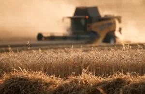 Pestycydy w ukraińskim zbożu. Polska już w lutym alarmowała Unię Europejską -RMF