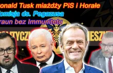 Tusk kompromituje Horałę i Pis - Braun bez Immunitetu !