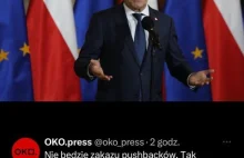 Tusk zostawił pushbacki na granicy z Białorusią Agnieszka Holland protestuje