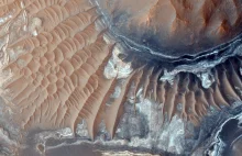 "Zły znak" dla ludzkości? Ekspert mówi o potencjalnym odkryciu życia na Marsie