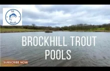 Brockhill - Wędkarstwo muchowe w UK