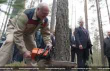 Drewno z Białorusi ma trafiać do Polski