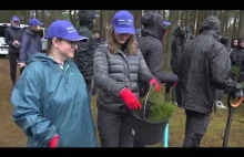 Sadzenie lasu z Castoramą