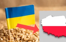 Import zbóż z Ukrainy! Są ustalenia NIK oraz mamy nieoficjalne wyniki kontroli!
