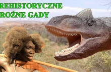 Zaginiony świat: Życie prehistorycznych gadów Dinozaury