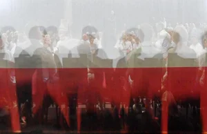 Afery z reklamami ciąg dalszy. NASK zaprzecza współpracy z Jakubem Kocjanem