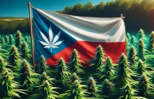 Czescy politycy chcą zalegalizować marihuanę. Poznaliśmy ich plan