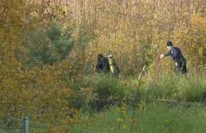 Znaleziono plecak Grzegorza Borysa. Są w nim pieniądze