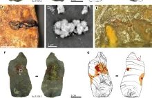 Jak neandertalczyk kleił narzędzia