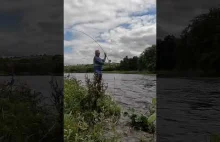 River Towy - Wędkarstwo muchowe w UK