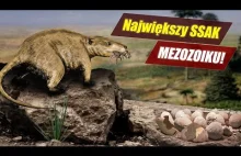 SSAK polujący na DINOZAURY!