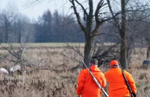 Tragiczny finał polowania na Lubelszczyźnie. Nie żyje 68-letni mężczyzna