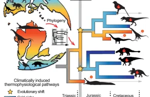 Pierwsze stałocieplne dinozaury pojawiły się 180 mln lat temu