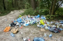 Dziesiątki milionów złotych na sprzątanie. Lasy Państwowe z apelem