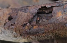 Bomba zegarowa na kołach. To auto niedawno przeszło przegląd. Ku przestrodze.