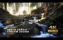 4K Green Forest Stream Sound - 2 Hours Nature Calming and Soothing Ambience