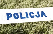 Nastolatek postrzelił z broni palnej 11-letnią siostrę - infoskierniewice.pl