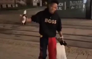 Wesoły inżynier śpiewa w Niemczech.