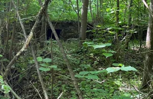 Kompleks poniemieckich bunkrów w Mamerkach. Odkryto tory i koła kolejki wąskotor