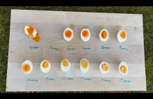 Które jajko jest twoje?