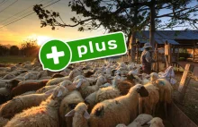 System kaucyjny to przekręt stulecia? "Miliardy nabite w butelkę". Kto zarobi fortunę?