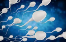 Mobile Phones and Male Fertility: Exploring the Link Between Higher Mobile Phone