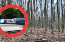 Makabryczne odkrycie w sopockim lesie. Spacerowicze znaleźli ciało kobiety