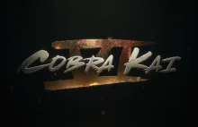 Cobra Kai: W serialu pojawi się kolejna filmowa postać