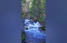 Relaxing Sound Of Mountain Creek #short #creek #mountains #forest - YouTube