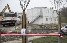 Metro szuka archeologów do rozbudowy linii M2. Znaleziono kości słonia leśnego