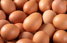 Ukraiński koncern wstrzymuje eksport jaj z powodu skażenia antybiotykami