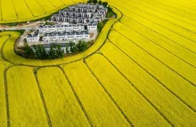 Deweloper, wybudował "polski Dubaj", teraz wytnie na budowie stuletnie drzewa