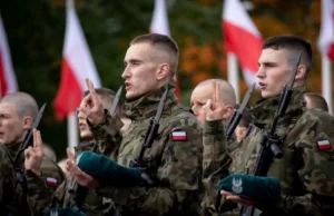 Niemcy niezadowoleni, że Polska nie kupuje uzbrojenia w Niemczech