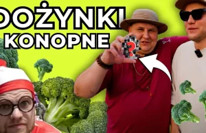 Czy w Konopnicy palą konopie? Dożynki Konopne 2023 [WIDEO]