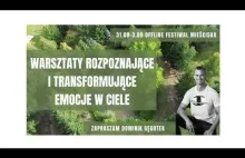 Offline Festiwal Między Drzewami 2023 - Intro