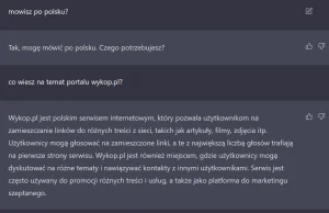"Wywiad" z openai na temat wykop.pl