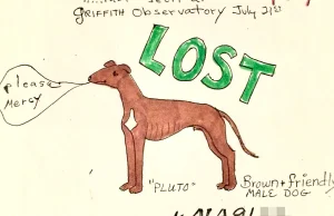 Czlowiek zbierajacy plakaty z zaginionymi zwierzetami