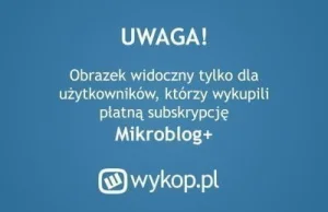 PILNE! Mikroblog+ za darmo tylko dziś dla wszystkich(oprócz zielonek)!