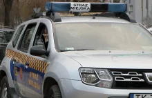 Strażnik bez prawa jazdy patrolował ulice Kielc