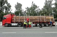 Tir pełen ściętych drzew dla premiera. Tusk lekceważy wyborców ws. wstrzymania