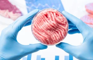 Sztuczne mięso będzie produkowane w Polsce. Firma dostała 9 mln zł od rządu