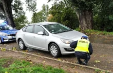 Unia chce dopuścić wymianę żarówek na ledy w starszych samochodach