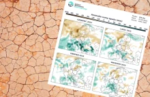 Susza w Polsce nadchodzi? To lato nie przyniesie zbyt wielu opadów