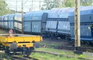 Plaga wypadków kolejowych - kolejny wykolejony pociąg towarowy