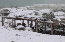 Ukraińscy żołnierze ćwiczą w Polsce wojnę zimową przed wyjazdem na front.