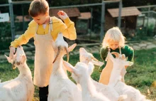 Nowość na UPP: Agroturystyka dla przedsiębiorczych miłośników wsi :)