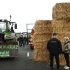 Protesty rolników w Belgii. Mają dość norm narzucanych przez Unię Europejską